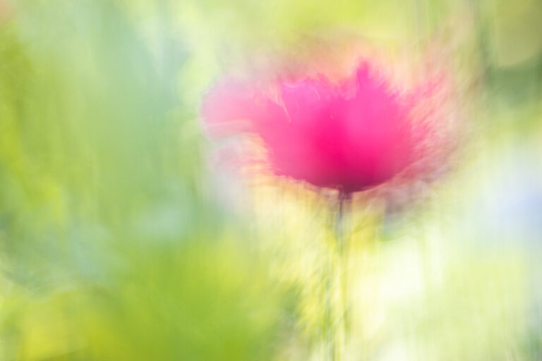 Natuurfotografie
